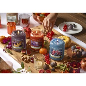 Candles YC Mulberry & Fig Delight